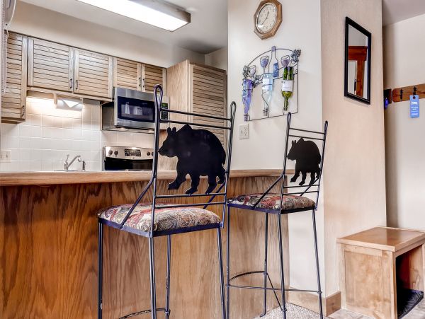 Steamboat Springs Condo 952760