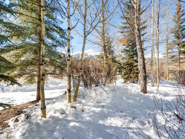 Breckenridge Condo 952775