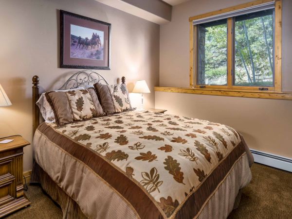 Steamboat Springs Condo 952786