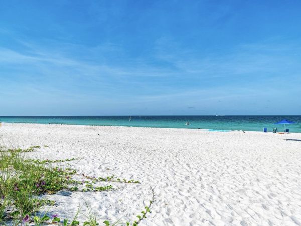 Anna Maria Island 9 Bedroom Oasis Rental Luxury Amenities