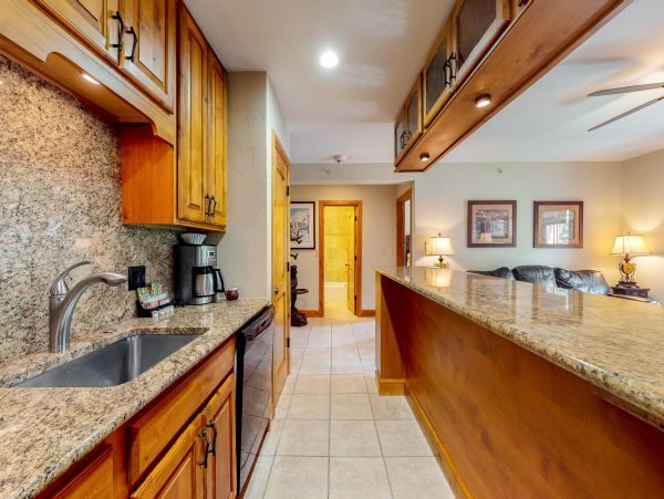 Vail Lionshead Condo 952806