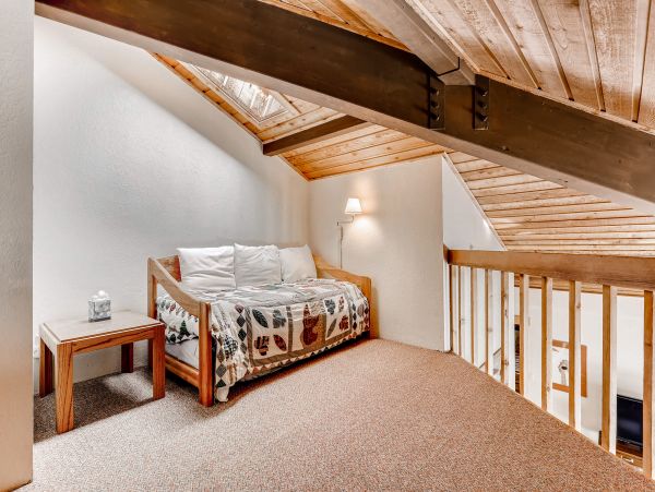 Ski In Ski Out Sleeps 10 in Breckenridge