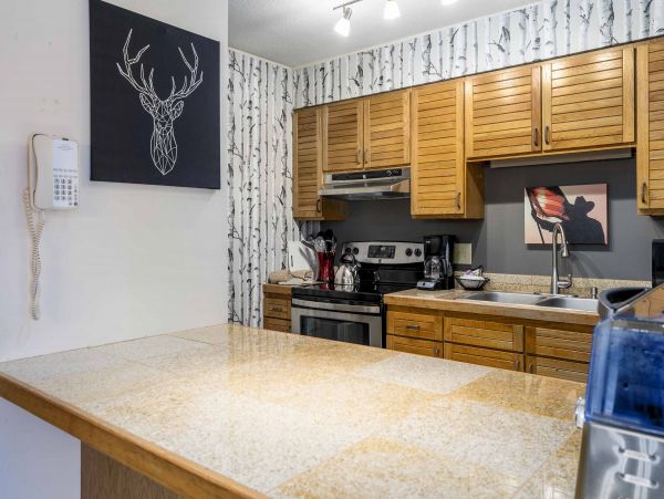 Steamboat Springs Condo 952815