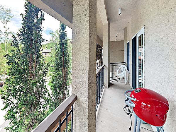 Snowmass Condo 952816