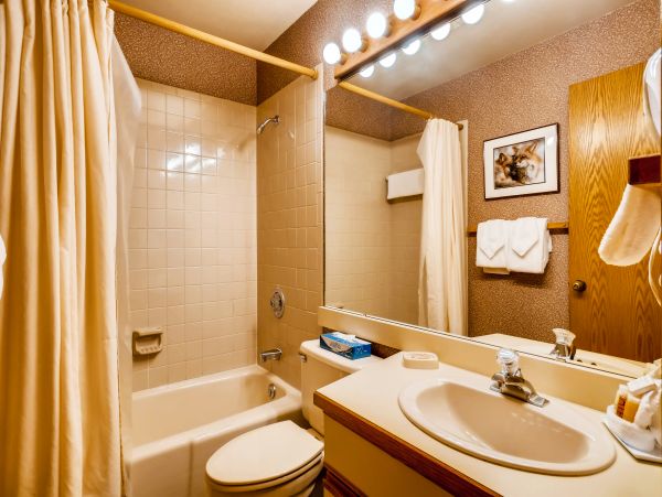Steamboat Springs Condo 952825