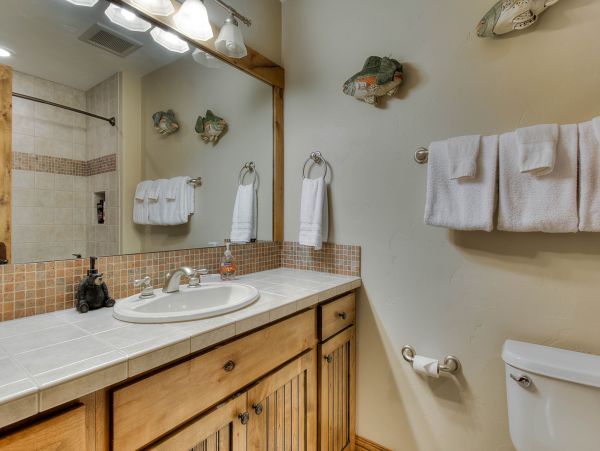 Steamboat Springs Condo 952844