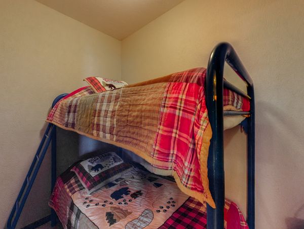 Steamboat Springs Condo 952850