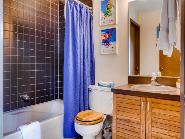 Steamboat Springs Condo 952897