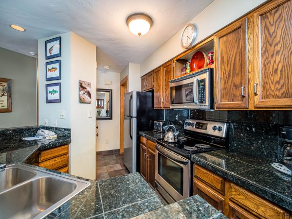 Steamboat Springs Condo 953032