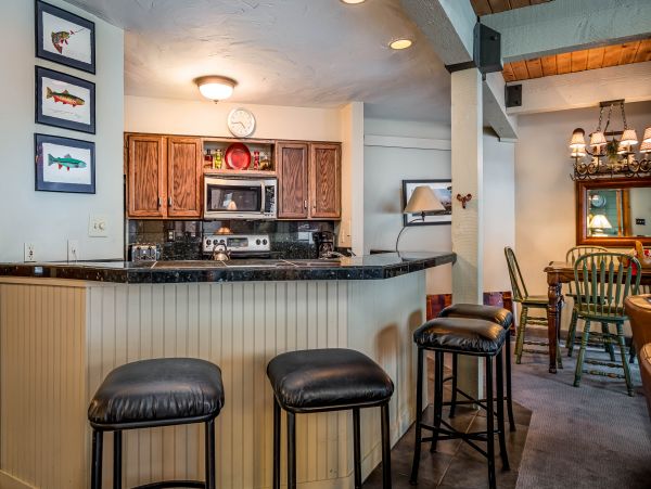 Steamboat Springs Condo 953032