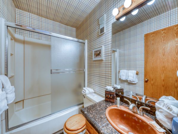 Breckenridge Condo 953035
