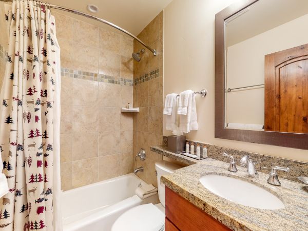 Vail Lionshead Condo 953121