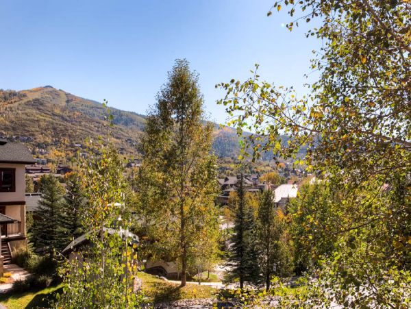 Steamboat Springs Condo 953123