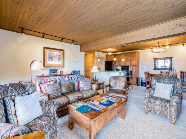 Steamboat Springs Condo 953125