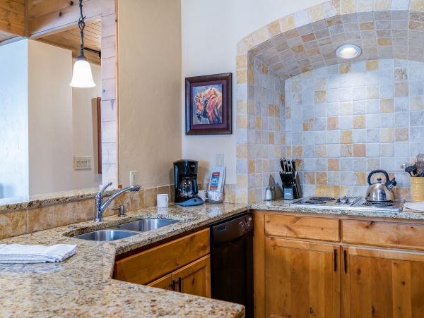 Steamboat Springs Condo 953125