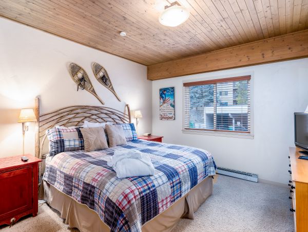 Steamboat Springs Condo 953125