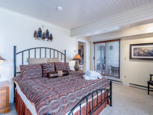 Steamboat Springs Condo 953125