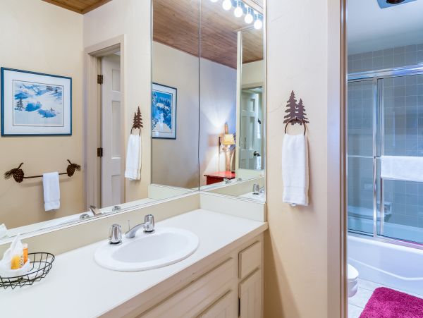 Steamboat Springs Condo 953125