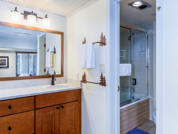 Steamboat Springs Condo 953125