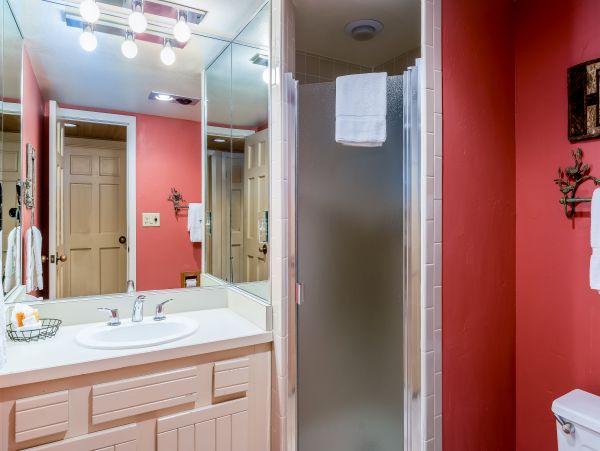 Steamboat Springs Condo 953125