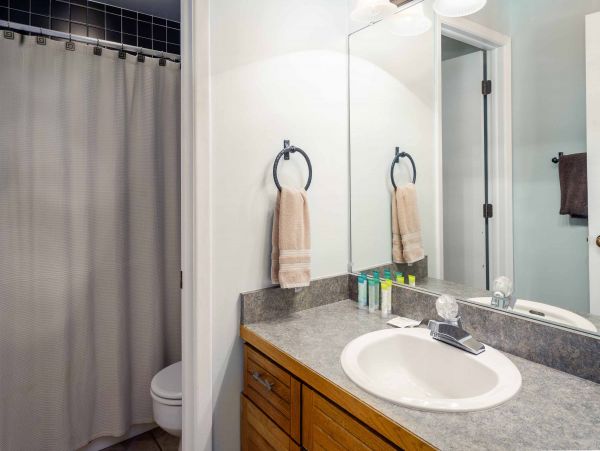 Steamboat Springs Condo 953126