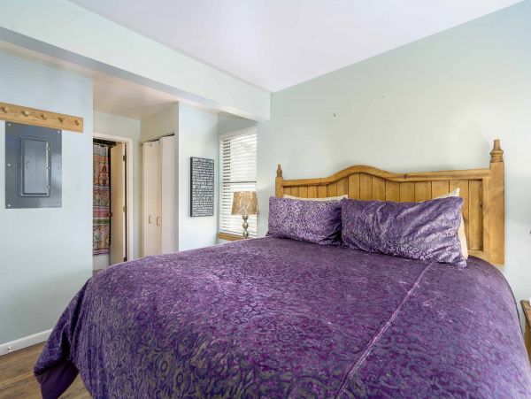 Steamboat Springs Condo 953126