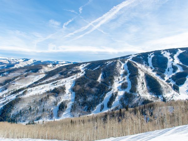 Beaver Creek Bachelor Gulch Condo 953127