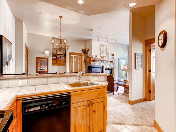 Steamboat Springs Condo 953131