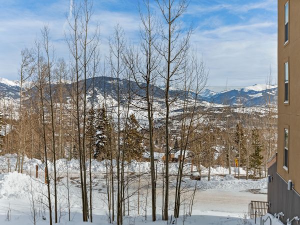 Breckenridge Condo 953132