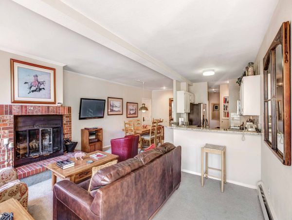 Snowmass Condo 953134