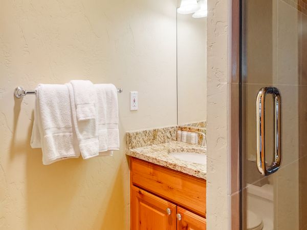 Vail Lionshead Condo 953135