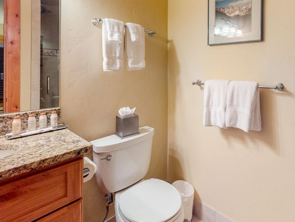 Vail Lionshead Condo 953135
