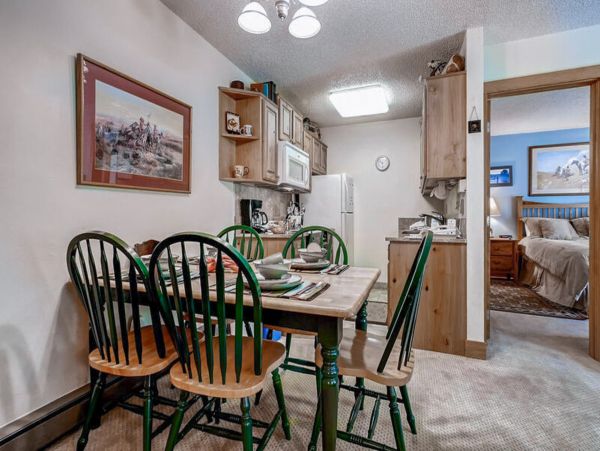 Steamboat Springs Condo 953136
