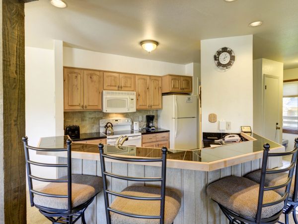 Steamboat Springs Condo 953143