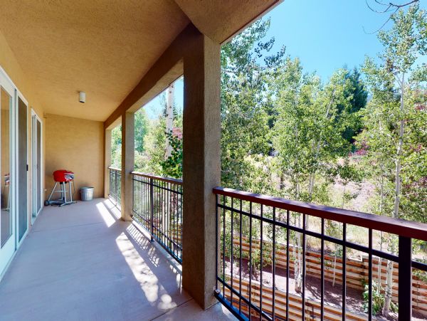 Snowmass Condo 953144