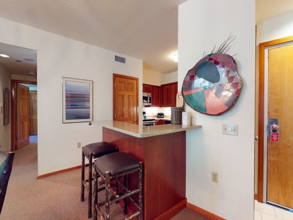 Snowmass Condo 953144