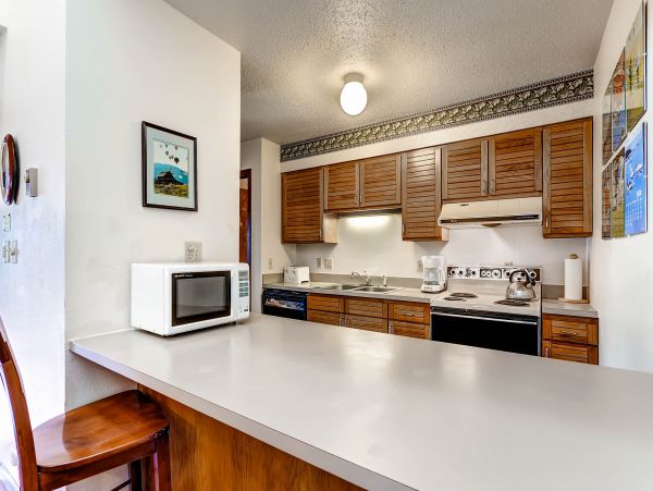 Steamboat Springs Condo 953147