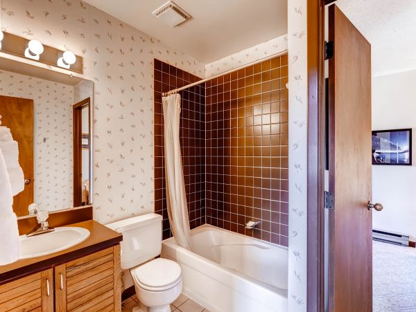 Steamboat Springs Condo 953147