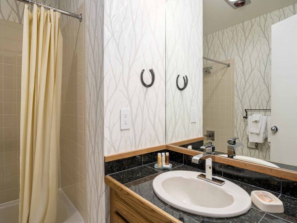 Steamboat Springs Condo 953149