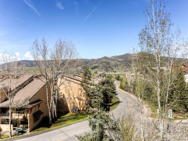 Steamboat Springs Condo 953149
