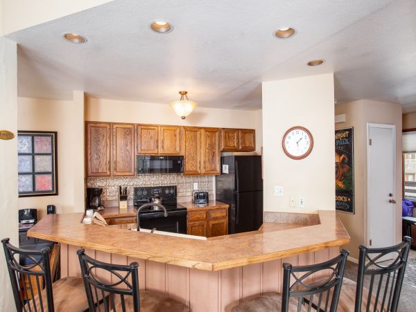 Steamboat Springs Condo 953150