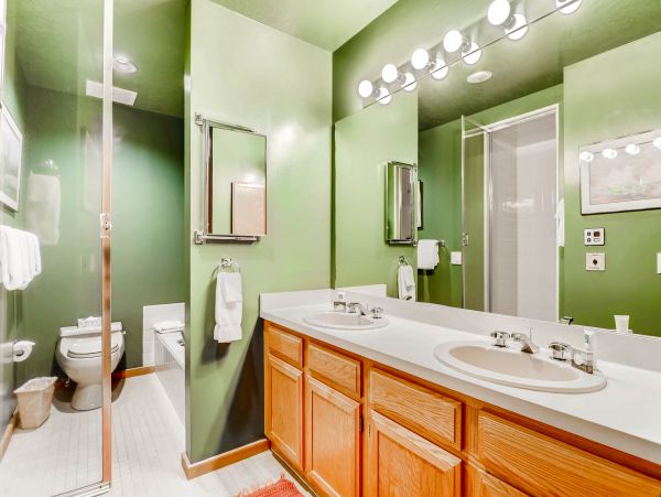 Snowmass Condo 953151