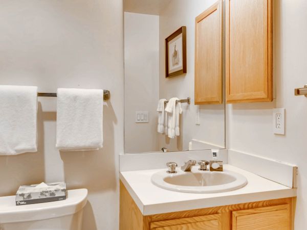 Snowmass Condo 953151