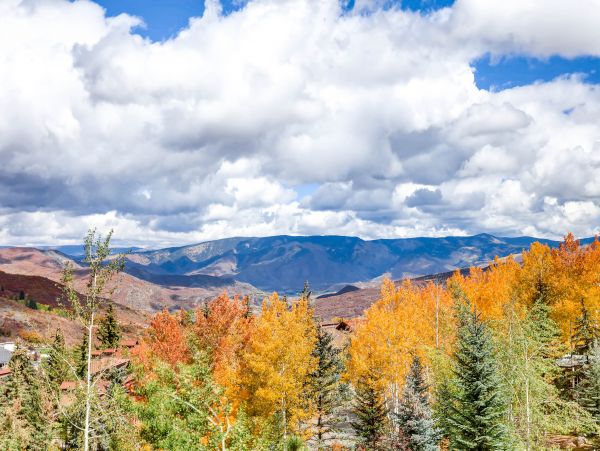 Snowmass Condo 953151