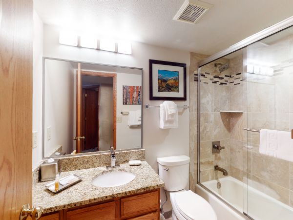 Steamboat Springs Condo 953157