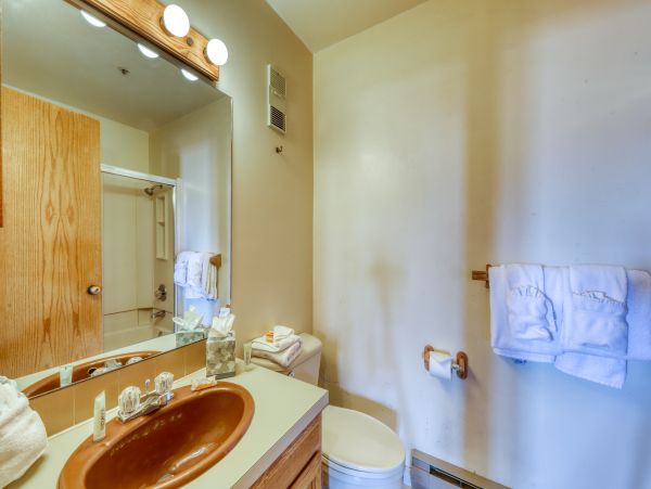Breckenridge Condo 953159