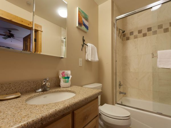 Steamboat Springs Condo 953162
