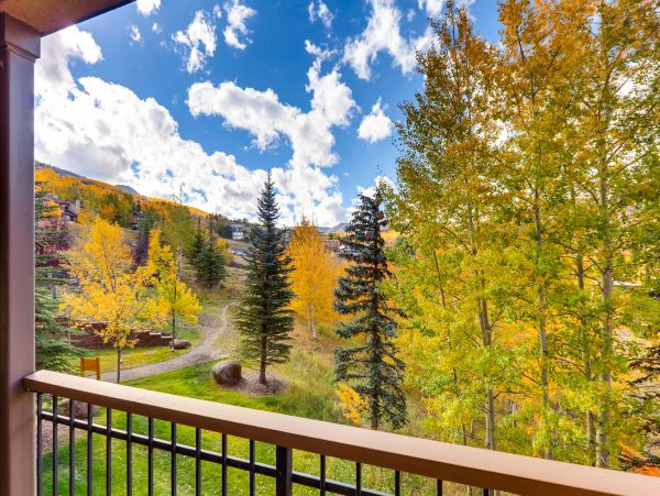 Snowmass Condo 953164