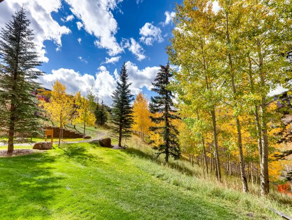Snowmass Condo 953164
