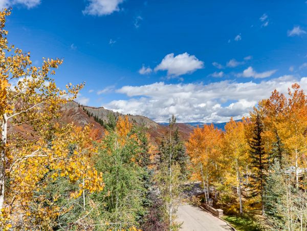 Snowmass Condo 953168